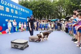 深圳公安再获广东省“双第一”图片