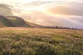 国庆去哪儿？“黑马”目的地大预测图片