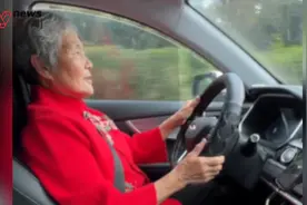 交警通报未发现徐奶奶套牌违法，旧牌变更挂到新车上图片