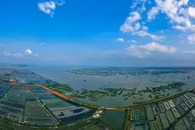 “绿票”交易为生态修复“预买单”图片