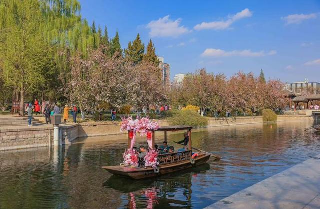 “海棠花溪”摇橹船启航，花期较往年延长一周