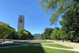 关于陈朗：不是“爱的代价”图片