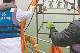 红岩周刊｜“请暂停施工，今天是鱼儿产卵高峰”图片