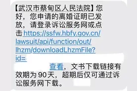 武汉市蔡甸区首份线上《离婚证明书》发放图片