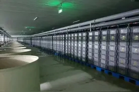 减油减盐的新湘菜，何以持续“破圈”走红图片