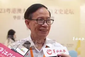 视频｜叶德平：培养华侨后代身份认同 做中外文化交流使者图片