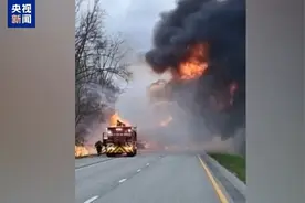 美国一卡车燃起大火  附近多条车道一度关闭图片