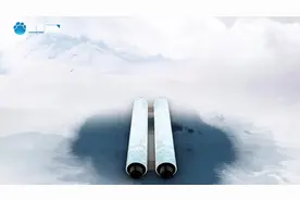 成语里的中国丨洛阳纸贵图片