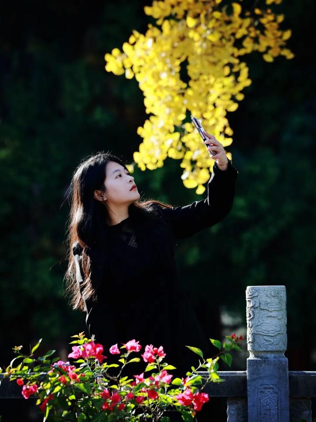 全国第二，南京栖霞山！