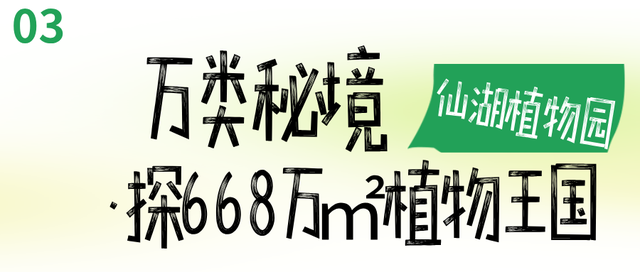 7公里黄金绿道！一天尽揽湖光山色