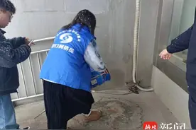 “快看看，这只鸟是不是保护动物？”图片