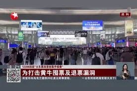 12306回应“火车票改签收取手续费”：为打击黄牛囤票及退票漏洞图片