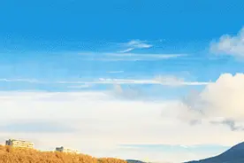 免费乘车游沈阳！明天发车！图片