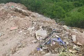 怀柔又添新绿！昔日垃圾山变身“公益减碳示范林”图片