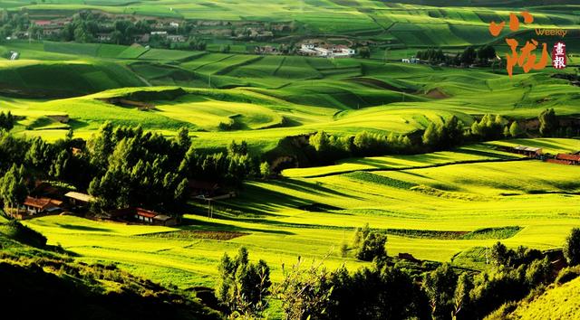 【小陇画报·388期】民乐：田畴织锦绣 沃野好风光
