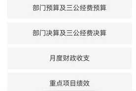 主动“晒账本”“亮业绩”！带你看莱阳市2025年政府预算公开图片