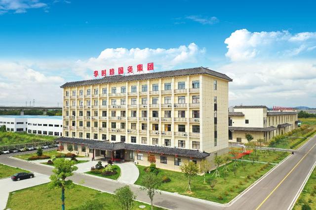 沿着铁路评湖北｜探访蕲春：一株艾草如何成为富民强县的密码？