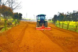 烟田农事忙 科技来“点睛”图片