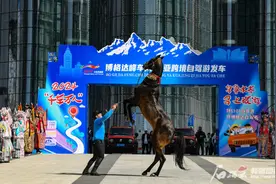 新疆，“马”上作为图片
