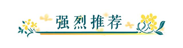 限时绝美!年度顶流!