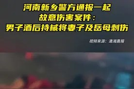 河南新乡警方通报一起故意伤害案件：男子酒后持械将妻子及岳母刺伤图片