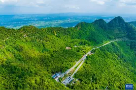 飞阅中国｜重庆：茶山竹海风光旖旎图片