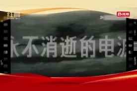 隐姓埋名护山河图片