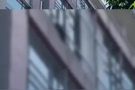 喜鹊“夫妻”在教学楼筑巢，全校师生看直播等待新生命图片