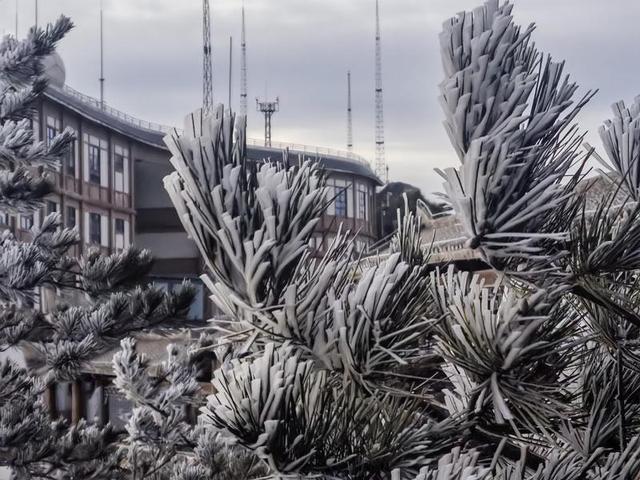 闽冬绝色，一场流动的盛宴🌺🌸❄️