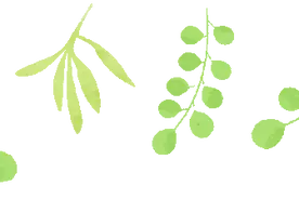 出口原产地签证一问一答图片