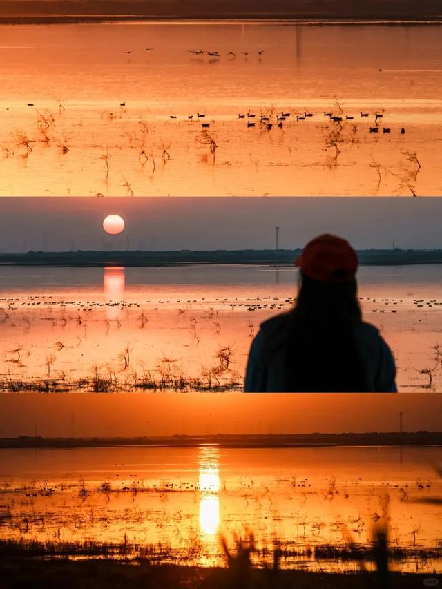 “疗愈式”旅行，来江西就对了！