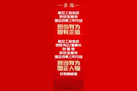航空工业宝成荣获宝鸡市 “担当有为国有企业”称号图片