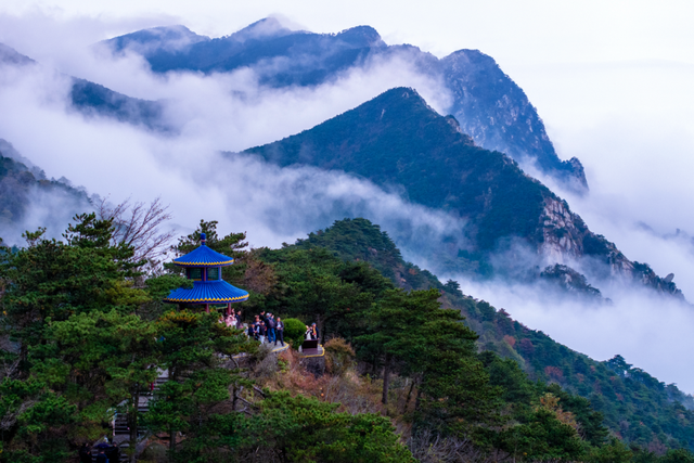 一花一瀑一云烟，庐山春意正当时
