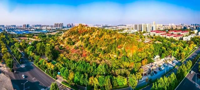 “泉”在济南享金秋——“一城山色·登山打卡”带你来赏红叶啦！