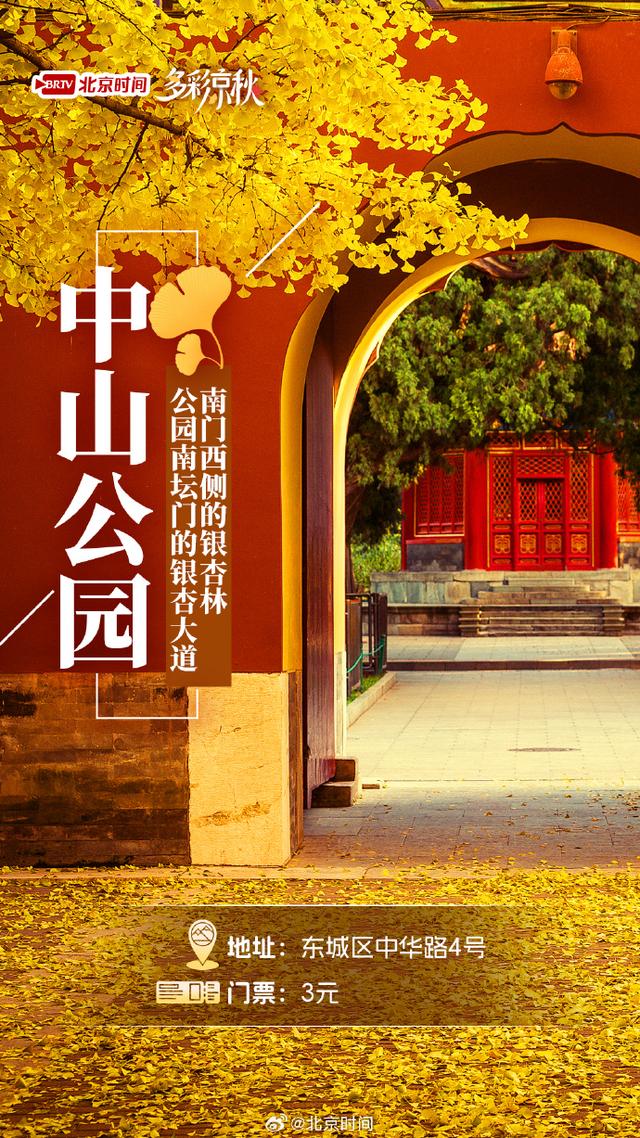 北京十大赏银杏好去处，这三处免费，您都去过吗？