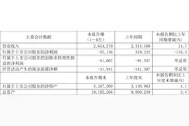 卓郎智能：2023年上半年亏损5213.60万元图片