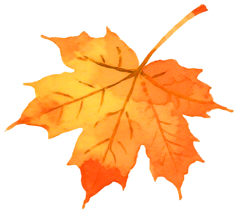 绥阳县“做强旅游品牌 做精旅游业态 全力推动旅游高质量发展”专场新闻发布会举行