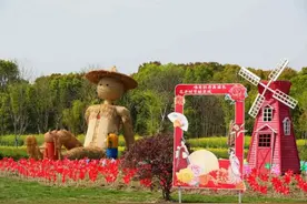 第三届上海湾区牡丹节，开幕！图片