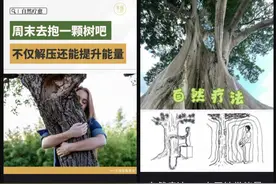 这种最被低估的“治内耗”方式！强烈建议你试试图片