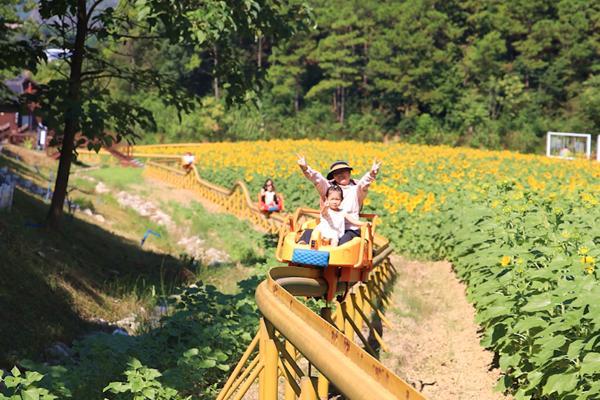 双牌：初秋花海醉游人四季观景绘就全域旅游新图景