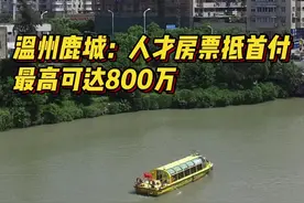 温州鹿城：人才房票抵首付，最高可达800万图片