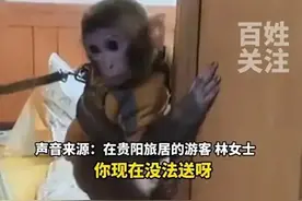 救下野生猕猴后，可以私自带回家饲养吗？律师解读图片