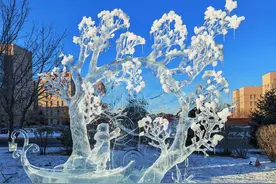 冰雕大师赛落下帷幕｜《寻梦》荣获一等奖图片