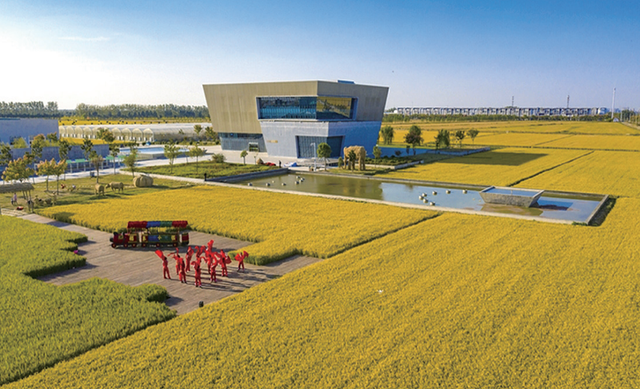 绿茵场外，研学正热！“宿超”点燃泗洪文旅新引擎