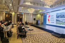 青海乐都蔬菜“漫步”莫斯科 绿色风采异国绽放图片