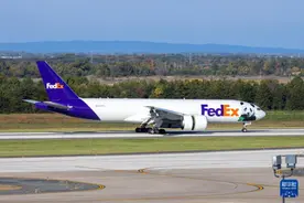 大熊猫“宝力”“青宝”抵达华盛顿，美国家动物园园长称是“历史性时刻”图片