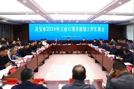 下好“先手棋” 灵宝市及早谋划2024年重点项目图片
