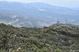 文旅活动打卡贵州 丨 乌蒙大草原：“人间净土”，莫过于此图片