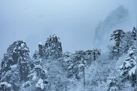 黄山风景区有游客失联，仍在搜寻！近期多雨雪或降至-10℃图片