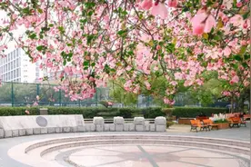 圆梦同济！2025研考查分时间公布图片